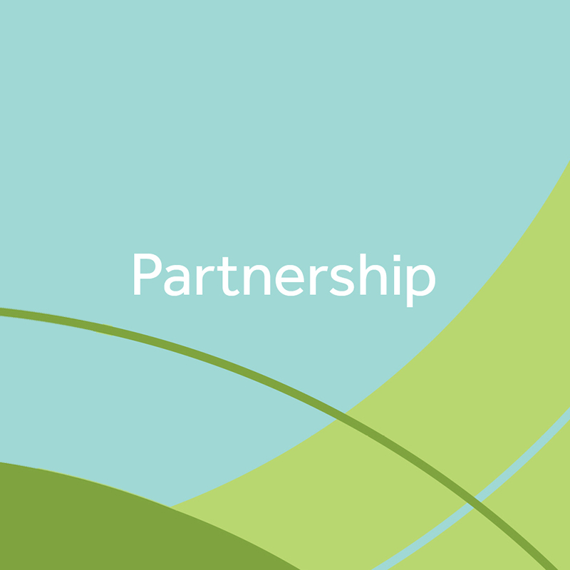 Green background with blue and green shapes and the word Partnership.