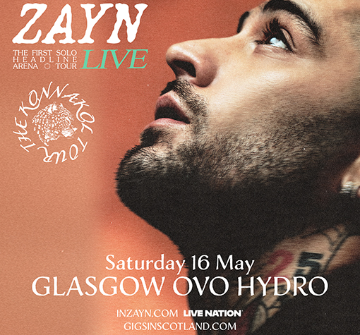 More Info for Zayn